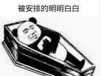 DNF星辰绝缘体奶妈海博伦套达成