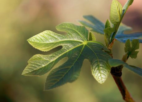 如何治脚臭脚汗,治疗脚臭最简单的方法