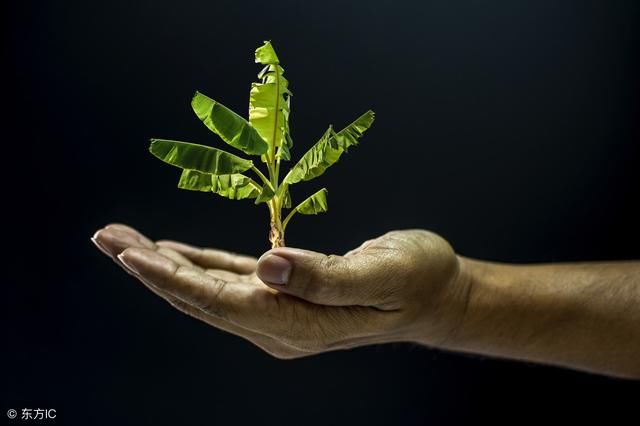 老是感觉嗓子有痰怎么回事?