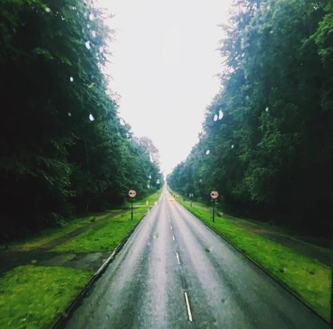 关于这所麦田里的大学你必须知道的六件事儿