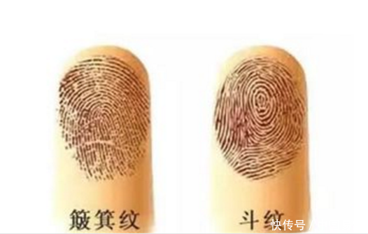 手上几个斗最好命?几个斗最富贵?你的手上有