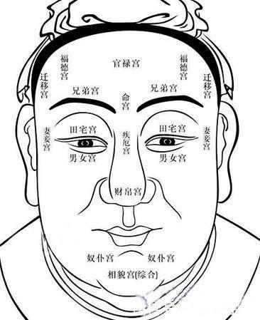 男人圆头圆脑面相图片