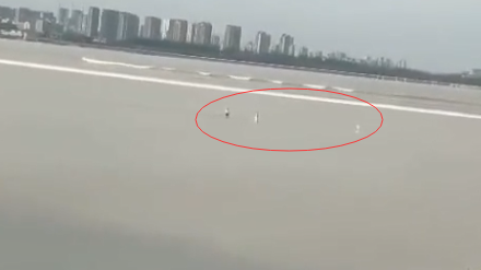 杭州九堡大桥下多人被潮水卷走 目击人群中有人崩溃大哭