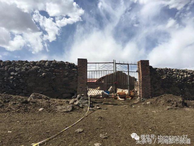 张家口A级通缉犯落网!涉嫌12年杀害6人,曾被村