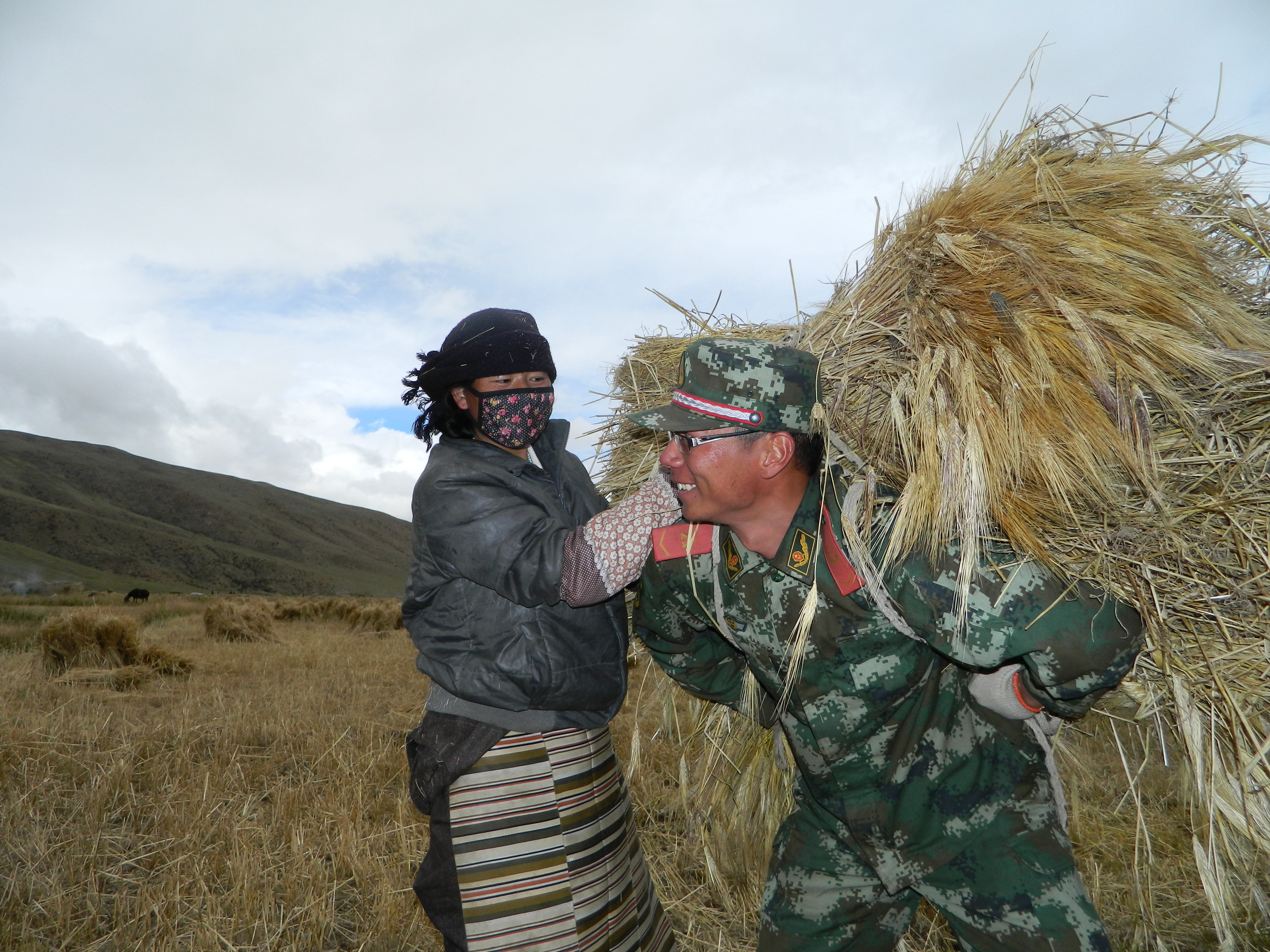 2013年9月份，驻扎在昌都邦达镇的武警交通二支队四中队组织官兵帮助驻地藏族群众收割青稞。汪巍摄