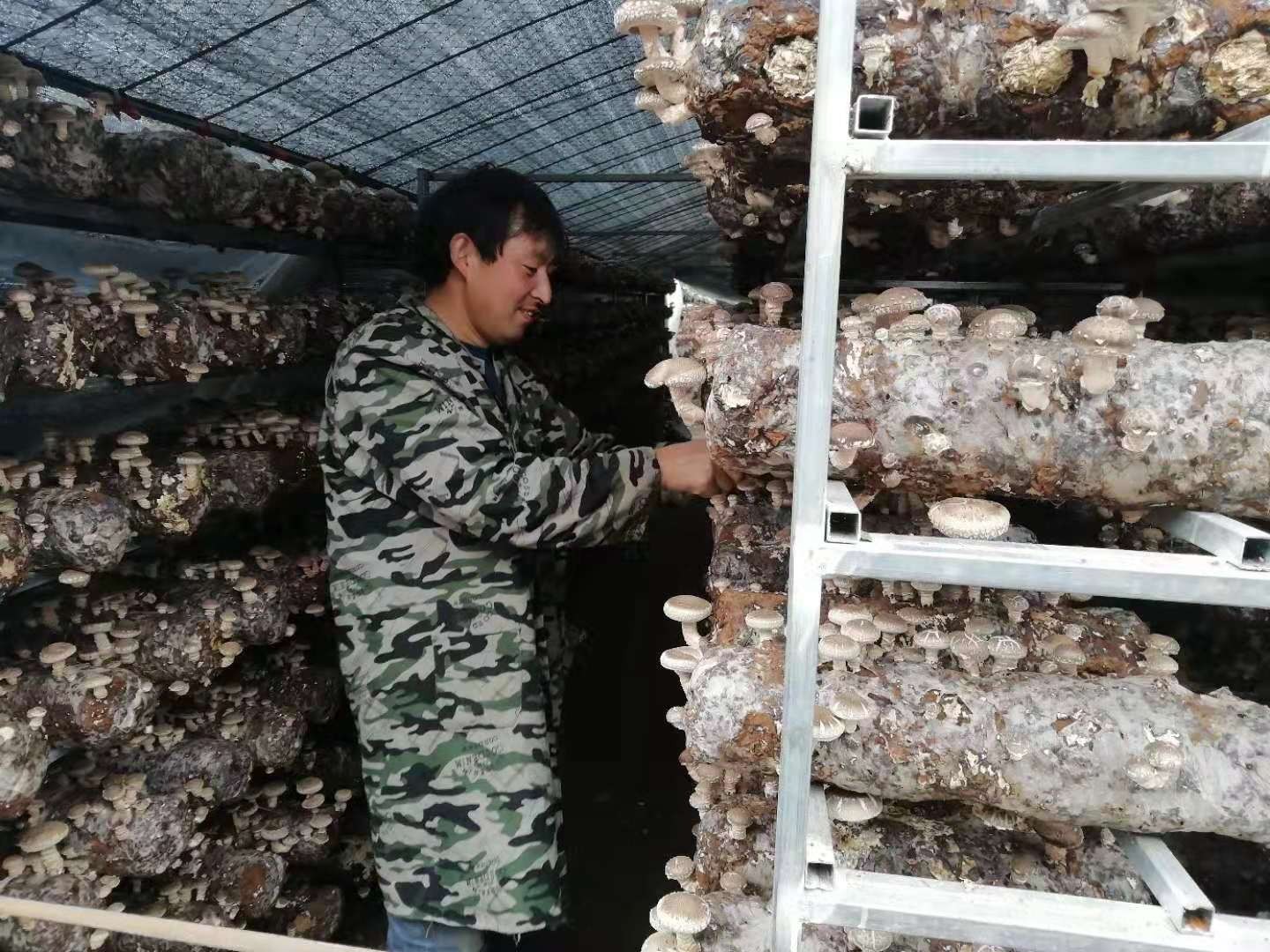 西峡县桑坪镇 为贫困群众培训生产技术(图1) 西峡县桑坪镇 为贫困群众培训生产技术(图1)