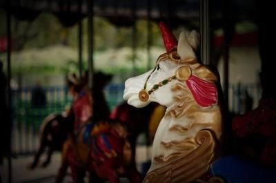 旋木王菲背后的故事