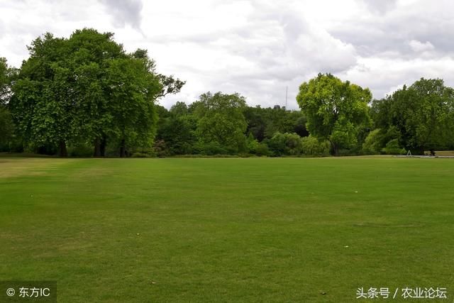 农村土地承包经营权确权登记依据是什么?谁能