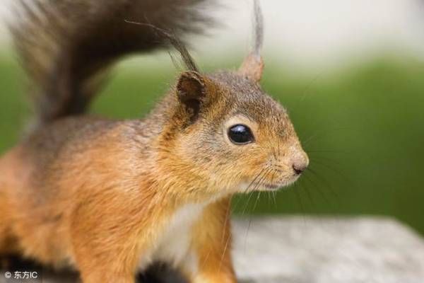 1960年出生的人是什么命?听说一生财运比较好