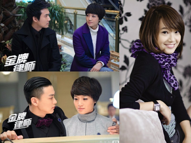 姚晨吕佳容胡静朱丹 谁是娱乐圈律政第一佳人(图5)