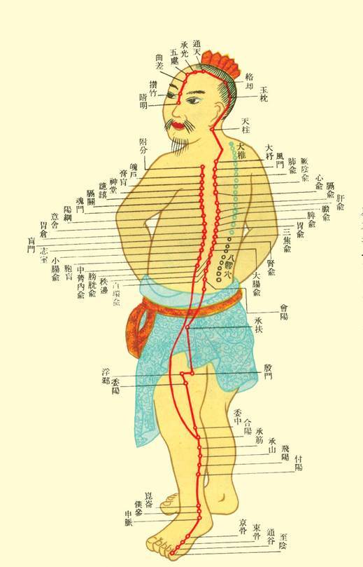 秋后刮痧膀胱经