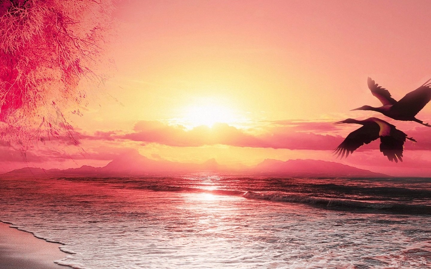 如何购买股票才能稳赚不亏 新手股票走势图怎