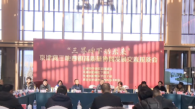 平谷召开“三界碑下话未来”京津冀三地四镇高质量协同发展交流座谈会_北京时间