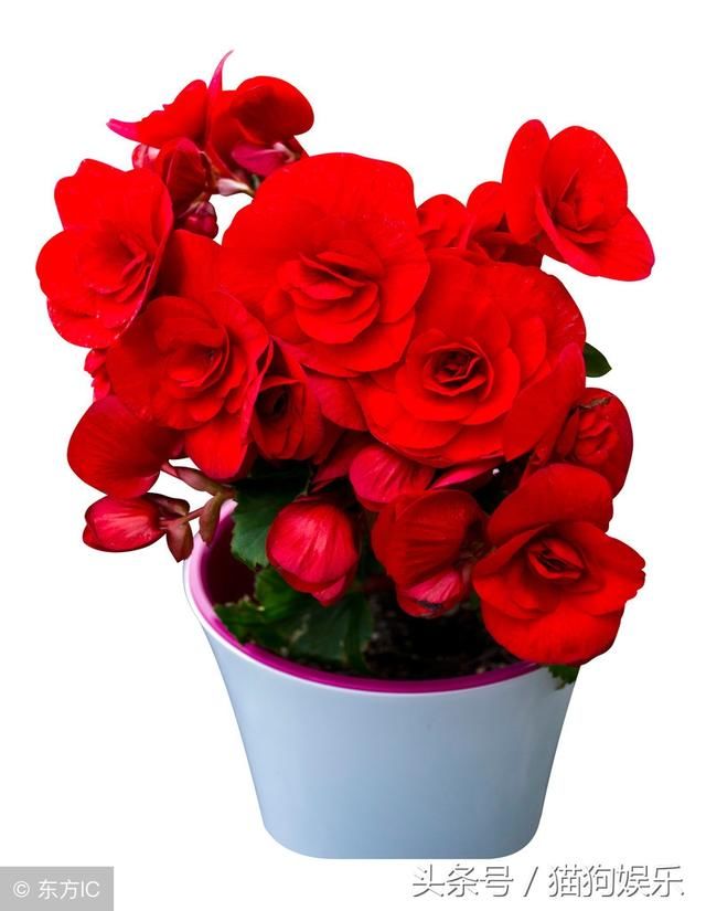 一生,二人,三餐,四季,五味,六欲,七情!写的真好,