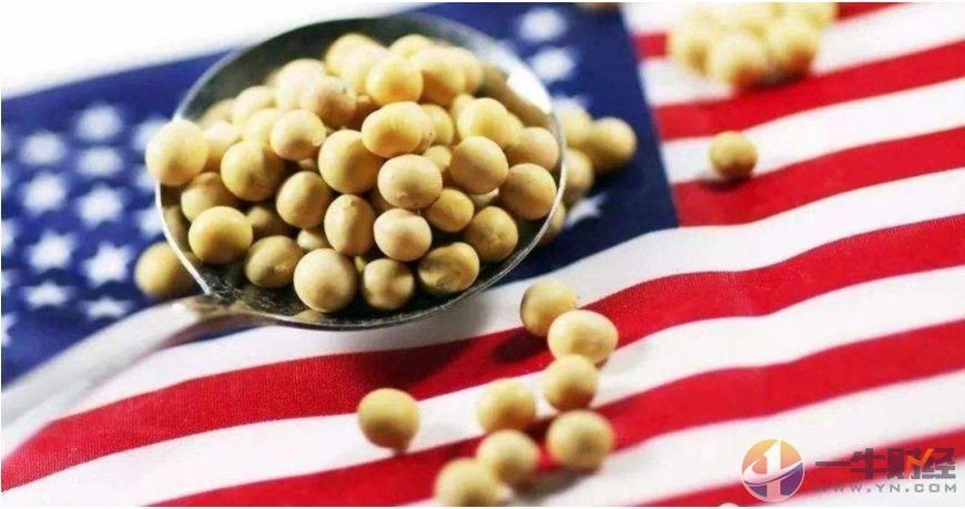 飞马峰号靠岸!海漂36天,今天,美国大豆终于在