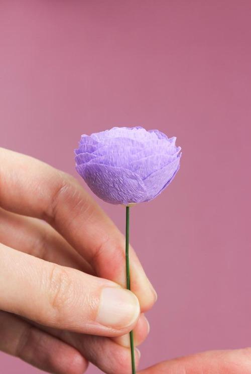 永不凋零的玫瑰花到底是啥样?