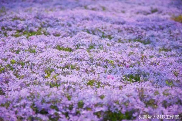 索尼相微单的高宽容度不是这么用的…