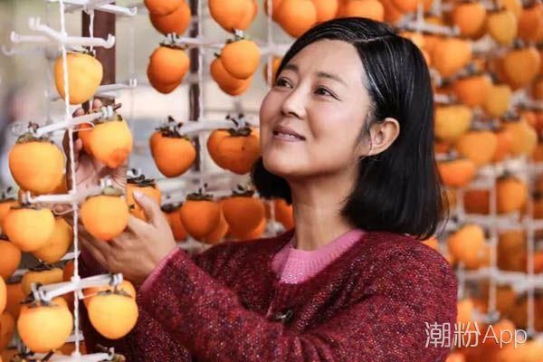 《岁岁年年柿柿红》吴用结局三大预测