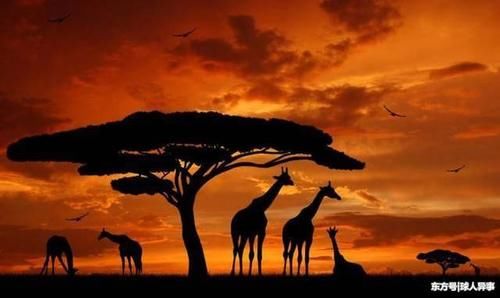 中国在非洲工程遭人眼红?美国印度纷纷出手!