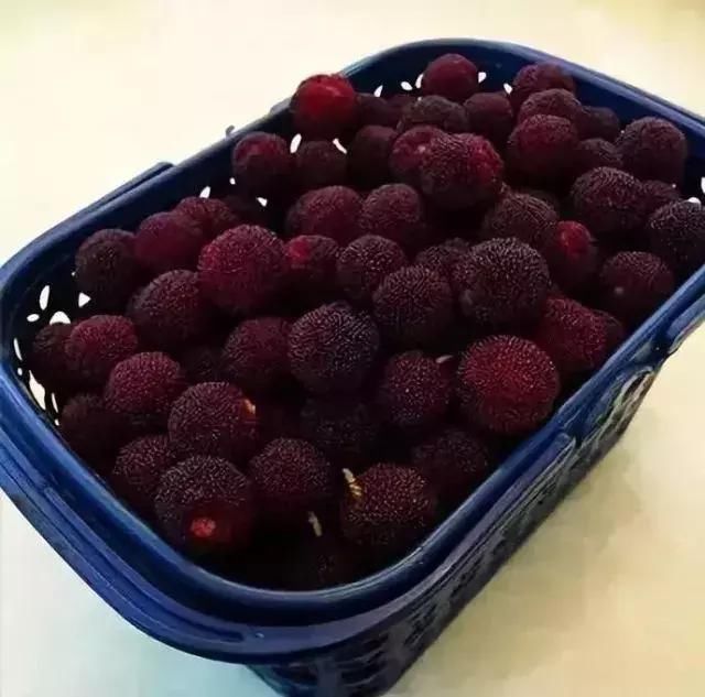 大妈捡到手机索要2000元未果当场砸碎手机!请