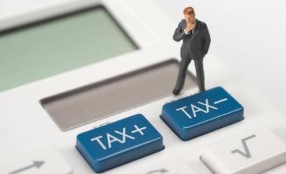 苗木款免税开具普通发票的会计分录怎么做?