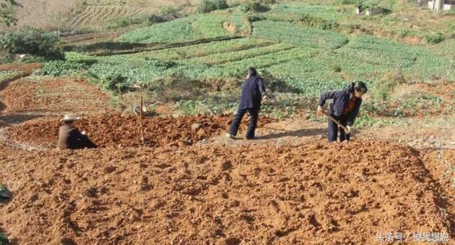 父母让男方家出彩礼,女儿反说:你们拿我去卖钱