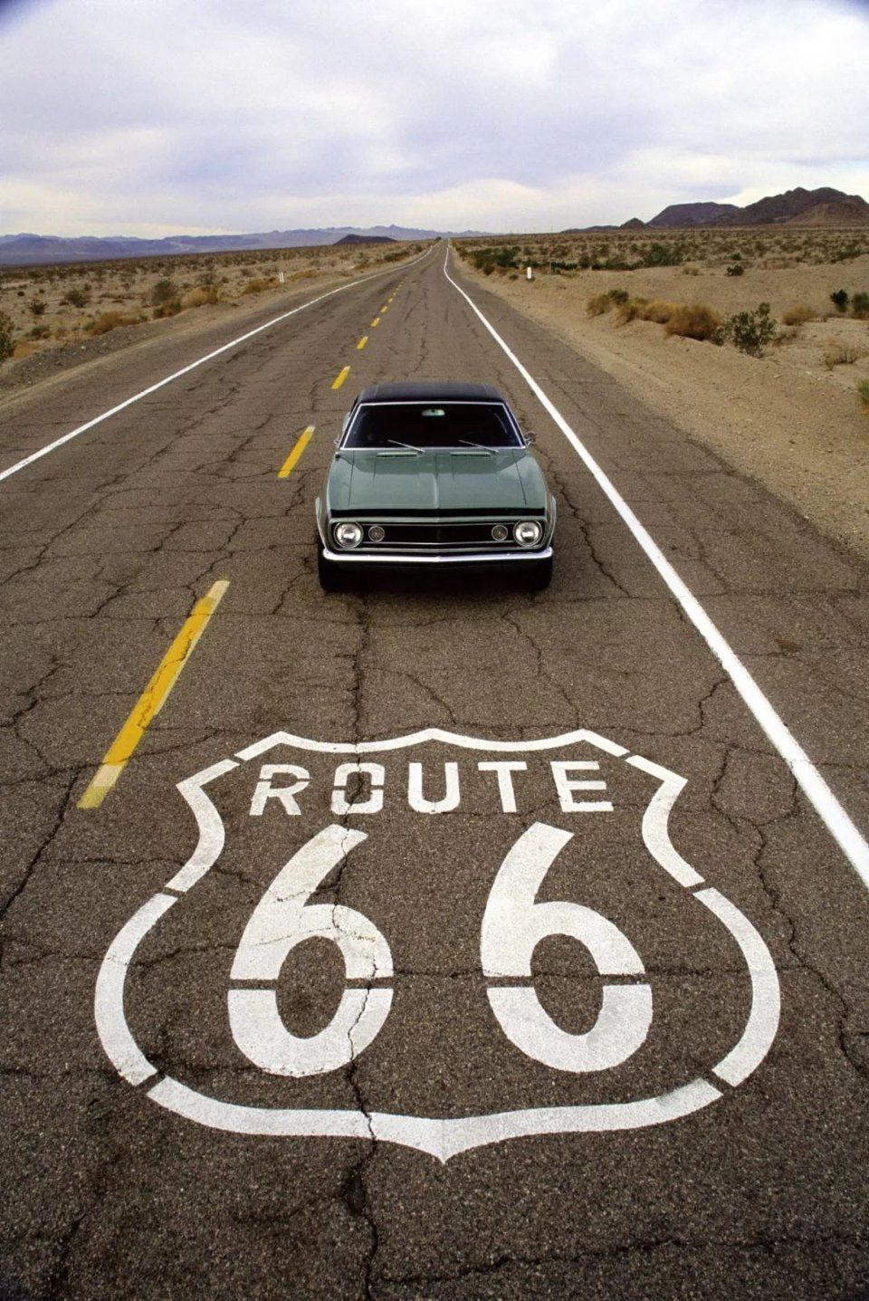 春暖花开,海外自驾游普及知识贴 | 人间指南