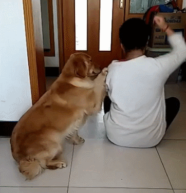 362_377gif 动态图 动图