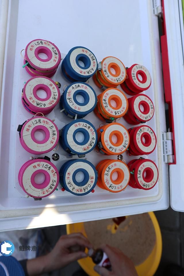 短子线的选择,不同鱼塘、鱼情长短子线利弊综