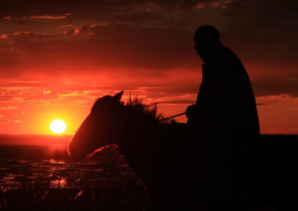 央视丨走进戈壁 寻找千年珍宝,高血压的福音