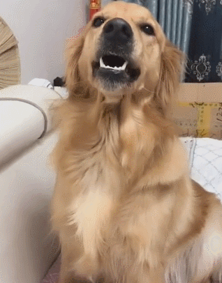 318_406竖版 竖屏gif 动态图 动图