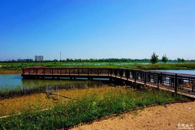 街道美景,河湖景觀,城市公園……今年,石家莊的美會超乎想象!