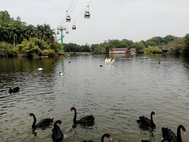 长隆世界,带孩子广州游必去的新景点,广东行6