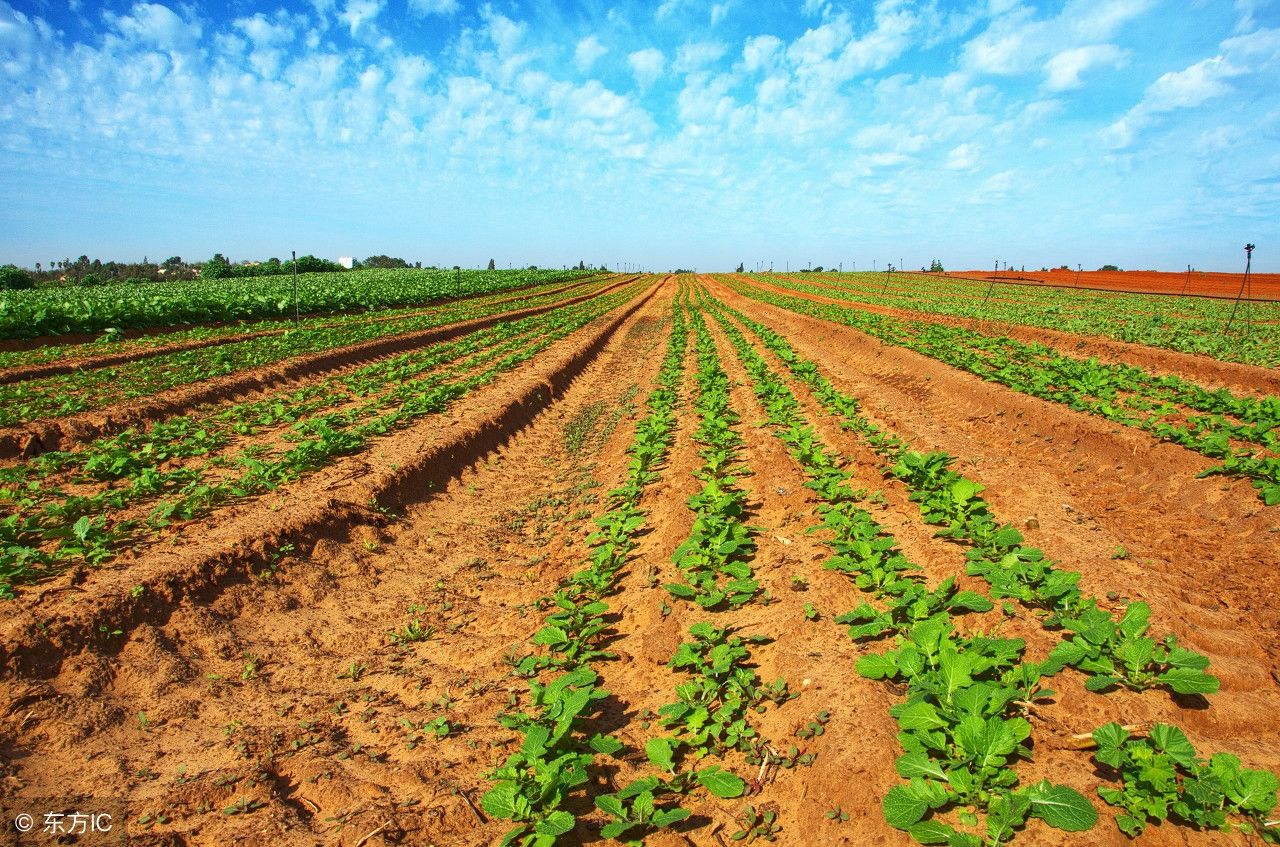 农村老话为什么说农民有三宝是丑妻、近地、破