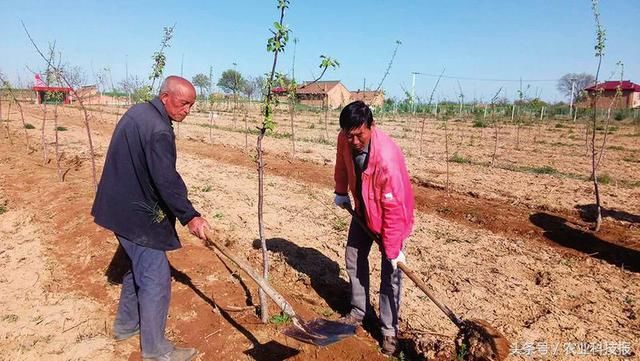 三变改革让甘肃庆阳西峰区董志镇吴庄村村民
