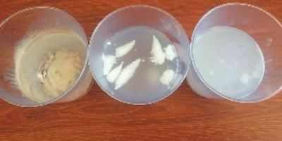 惨痛教训!毛孔粗大、长闭口,粉底这个雷区还有