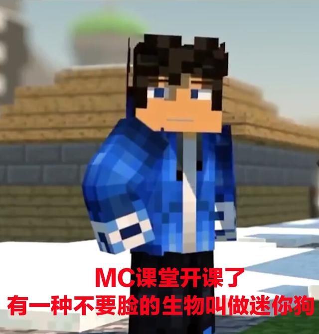 我的世界反迷你无水印表情包