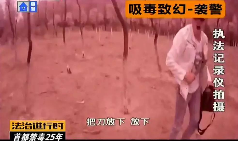 吸毒致幻——袭警。