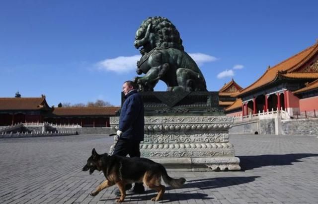 故宫最辛劳的执勤员工:大内御犬和皇家御猫!