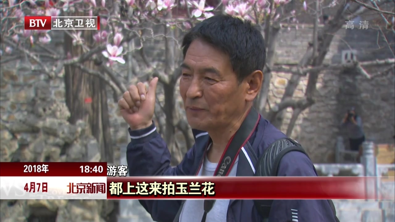 北京:古刹春意浓 繁花醉游人 北京:古刹春意浓 繁花醉游人