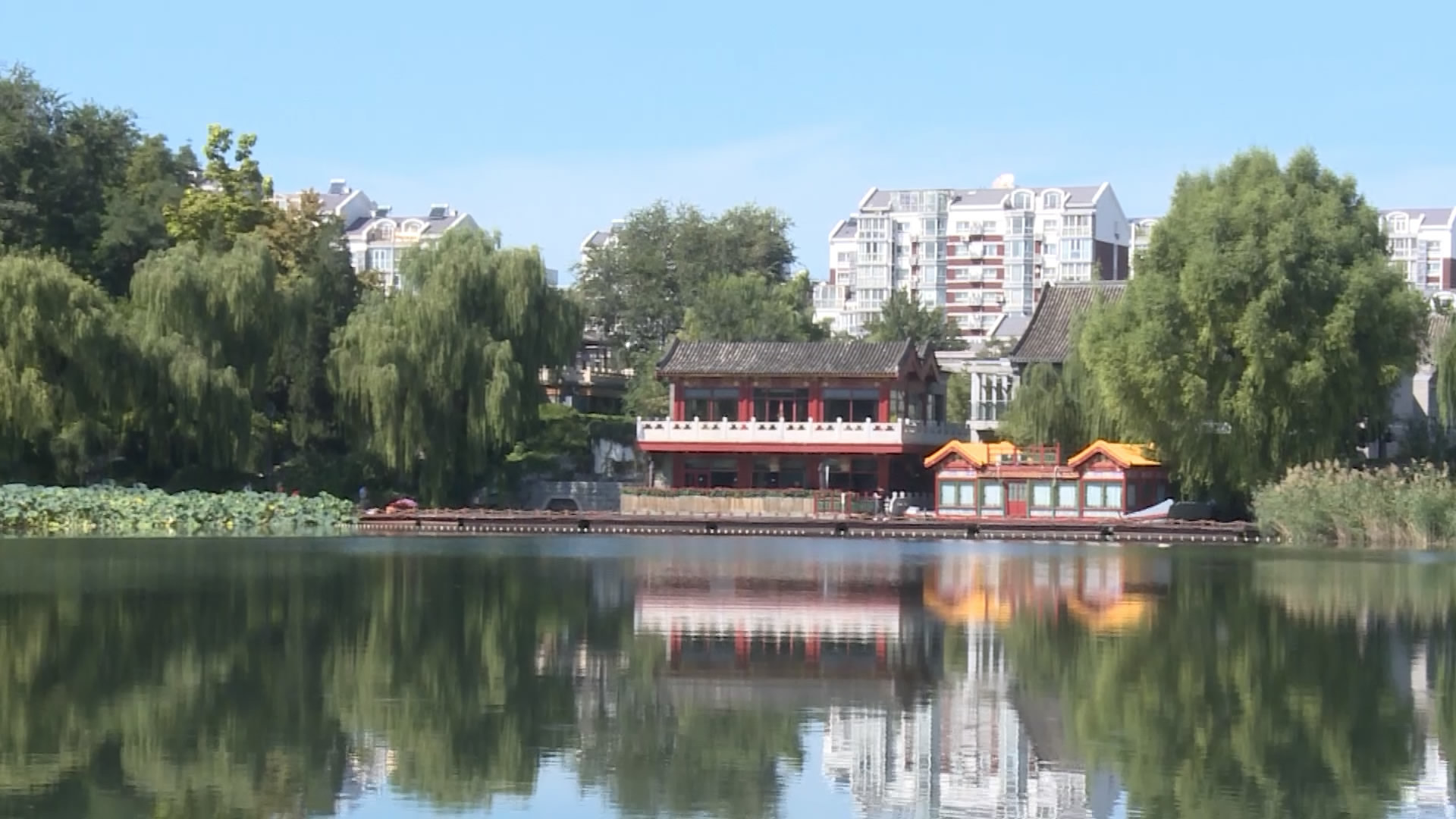 【大美北京】北京西海湿地公园景色宜人