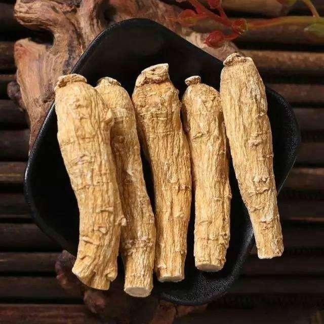关于西洋参的一切! 你想知道的都在这里! (建议收藏) 关于西洋参的一切! 你想知道的都在这里! (建议收藏)