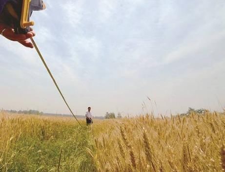 农村房子如何办理土地确权证?请看这里相关法