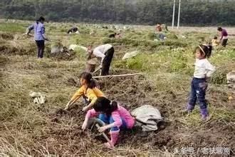 真实的故事:父亲把儿子当宝,女儿当根草,临终时