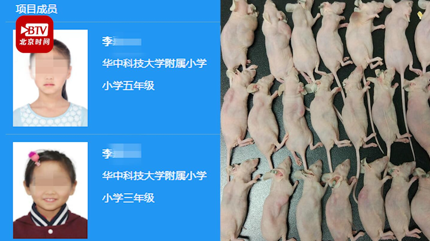又有两名小学生研究喝茶抗癌获全国大奖 网友:何时出现幼儿园组选手 又有两名小学生研究喝茶抗癌获全国大奖 网友:何时出现幼儿园组选手