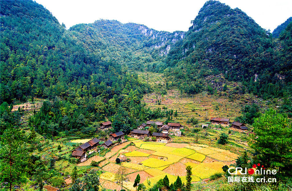 开建之前的平塘县大窝凼洼地