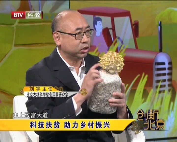 《创新北京》20201017科技扶贫  助力乡村振兴
