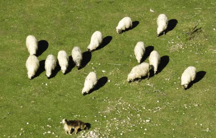 photoshop内容感知移动工具使用方法