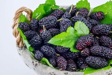 对肾好的食物有哪些!