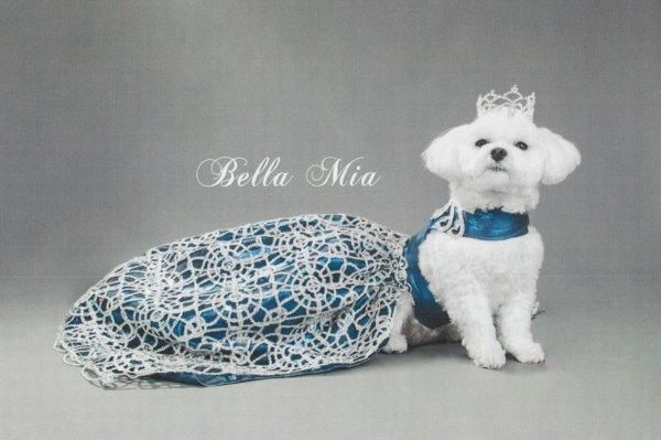 美国女士取消儿子继承权,把百万英镑财产都留